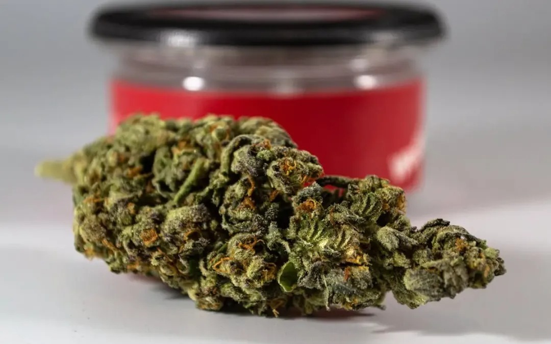 Clubs Cannabis Madrid: Top Destinations for Marijuana Madrid Lovers