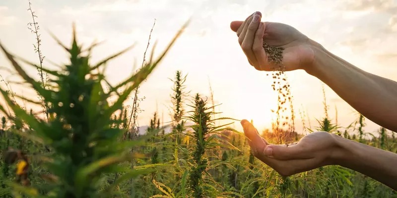 WhatsApp Image 2025-11-26 at 3.51.00 PM (1)