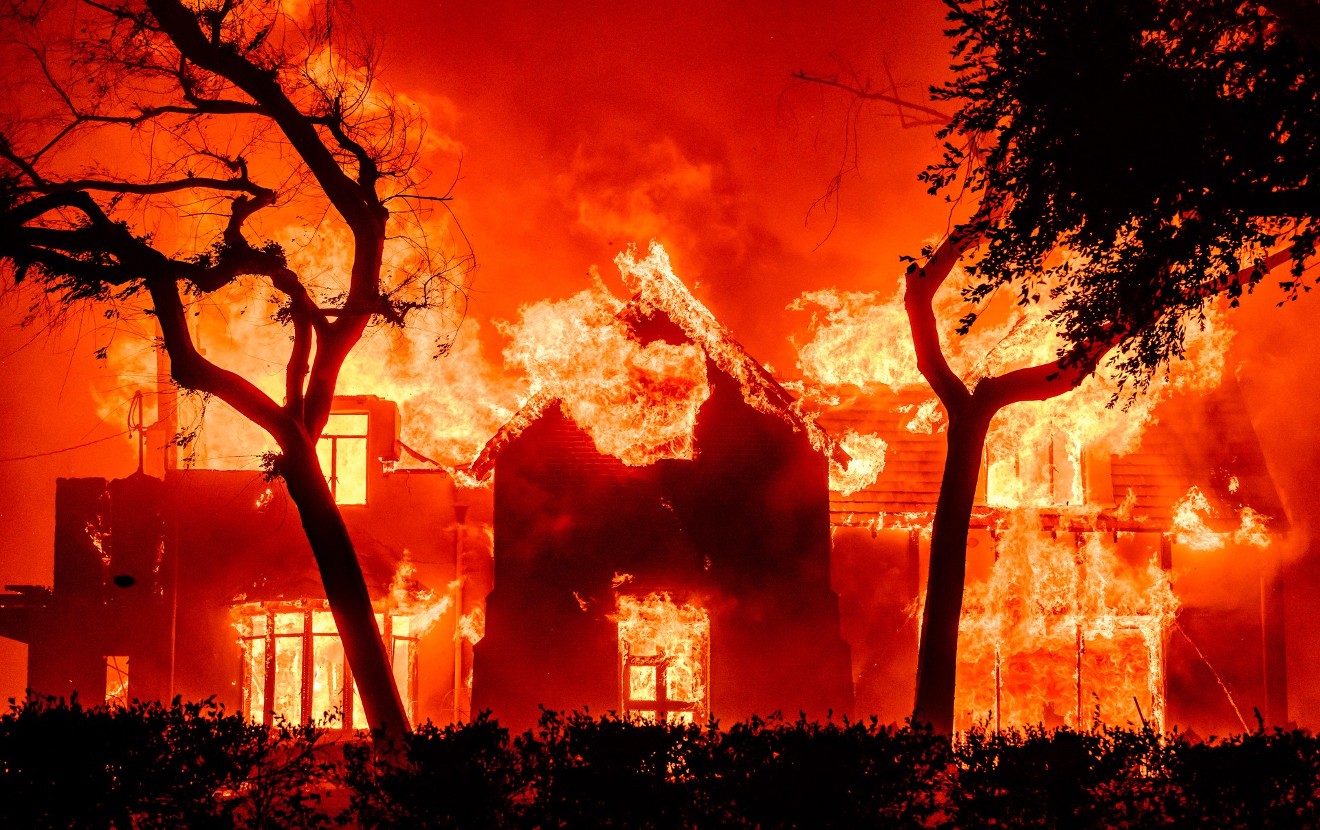 Why Families Trust Wild Fire Events for Kids’ Activities