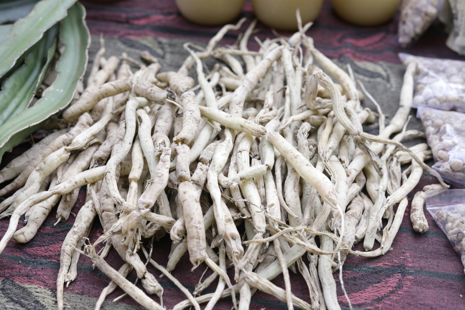 Certified Ayurveda Online Courses for Practical Knowledge