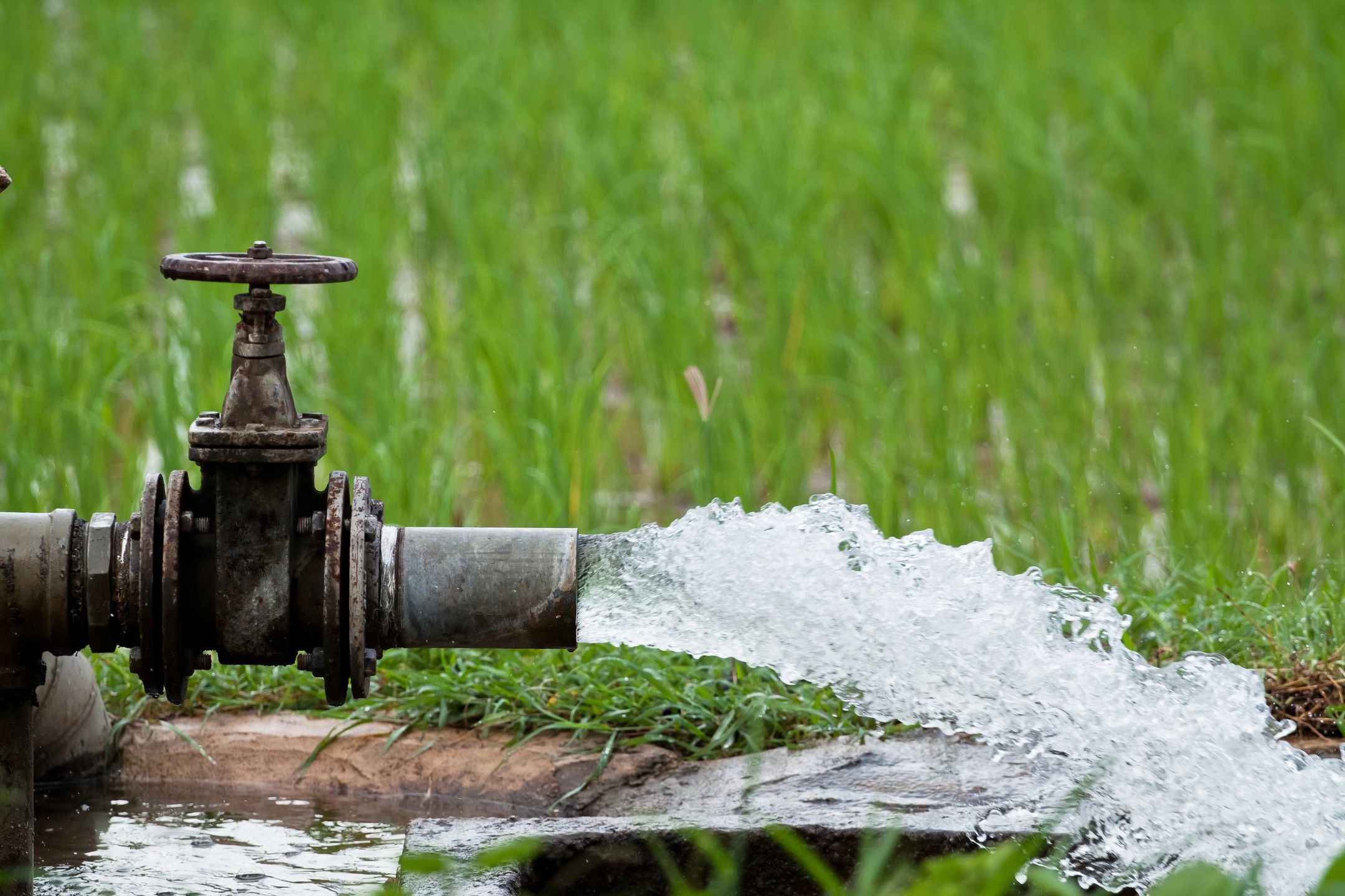 Trusted Professional Irrigation Services in Haslet, TX