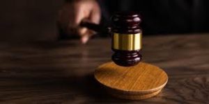 WhatsApp Image 2026-01-20 at 2.56.30 PM (9)