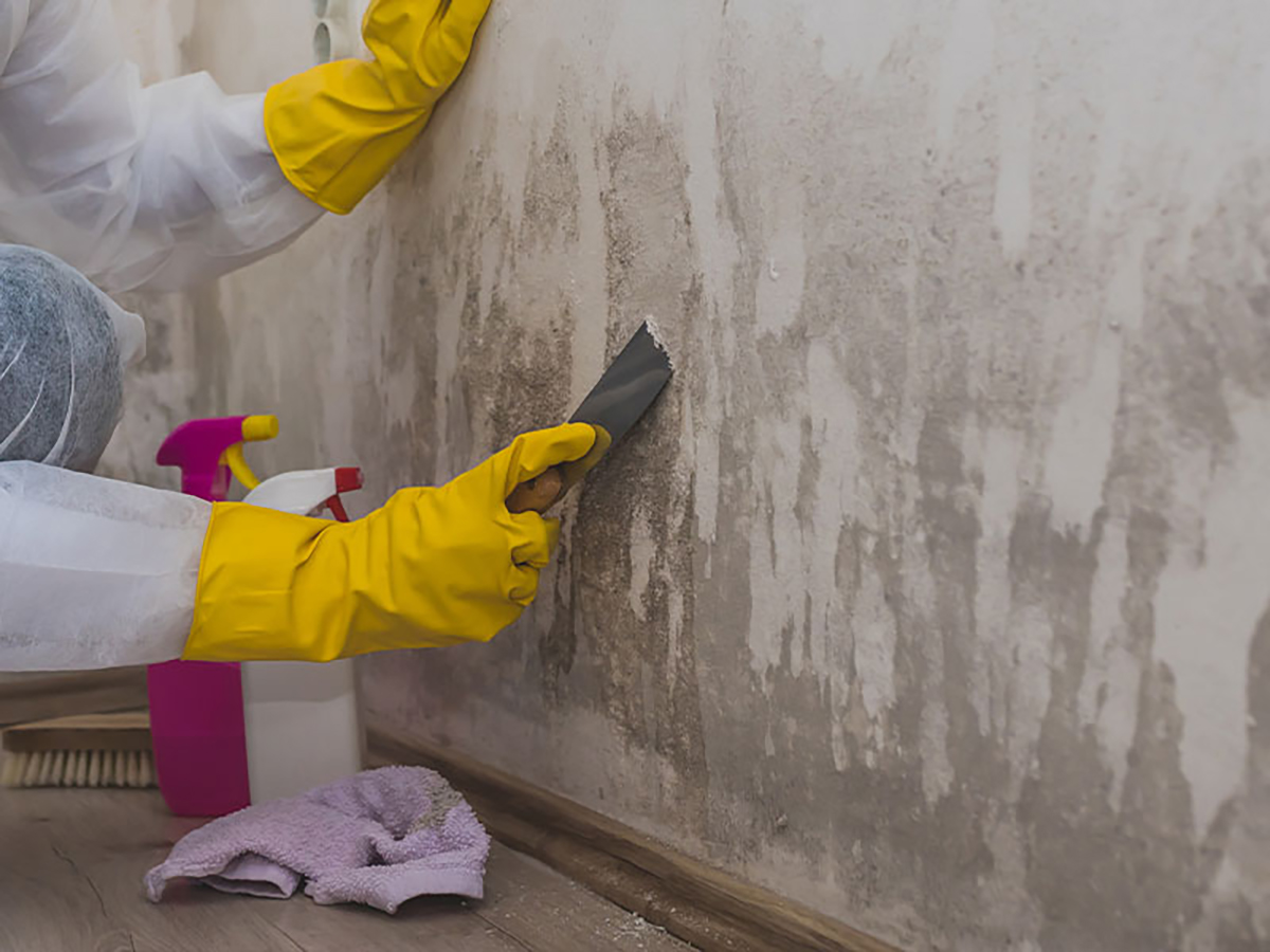 Fast & Efficient Services – mold remediation crestview austin tx
